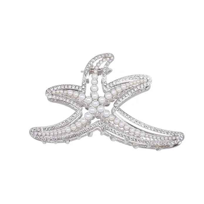 Pince de cheveux argenté